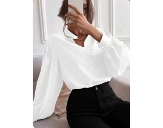 Button-down shirt